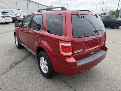 2010 Ford Escape XLT